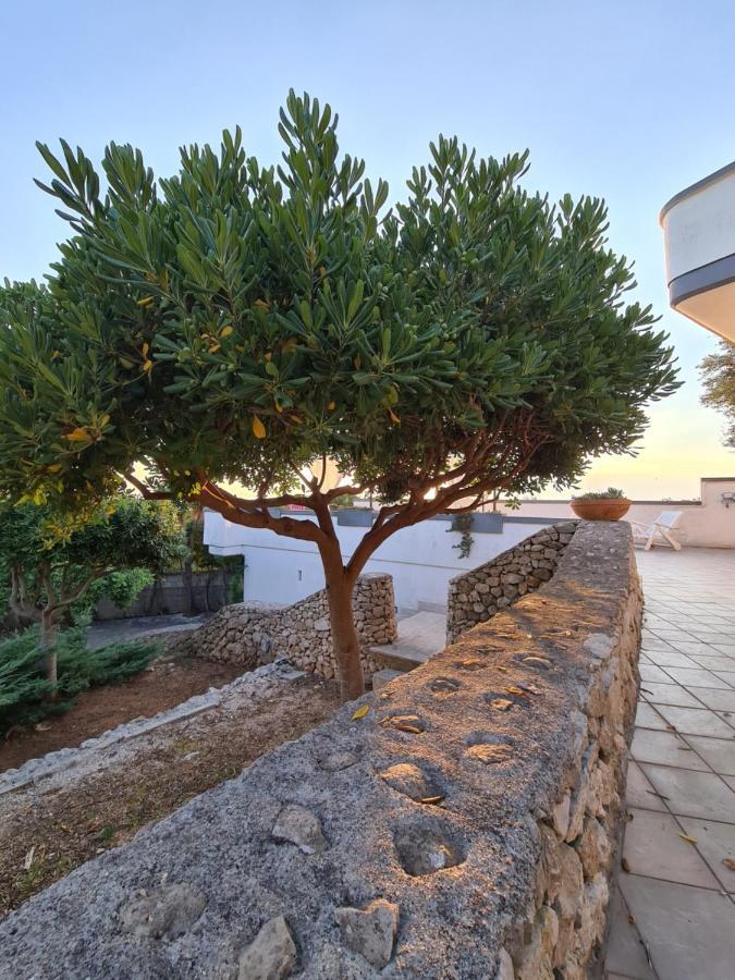 Villa Panoramica Sunset House 토레 바도 외부 사진