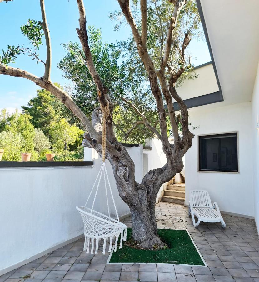 Villa Panoramica Sunset House 토레 바도 외부 사진